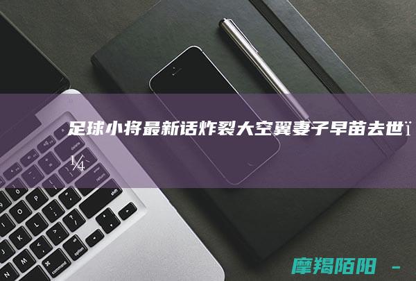 足球小将最新话炸裂大空翼妻子早苗去世,